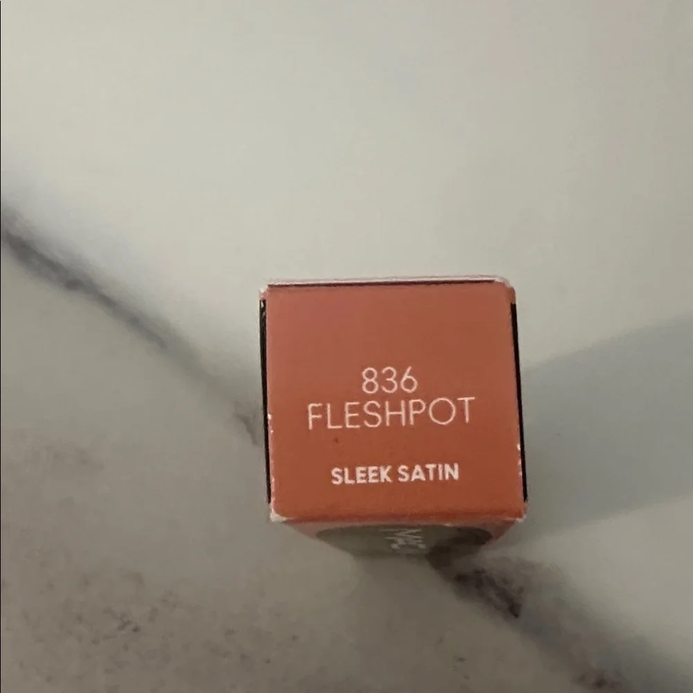 NWT Mac Lipstick in Fleshpot